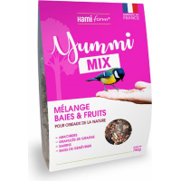 HAMIFORM Yummi mix - Bessen- en fruitmix voor tuinvogels