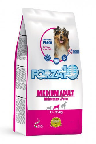 FORZA10 Maintenance Medium au Poisson pour chien adulte