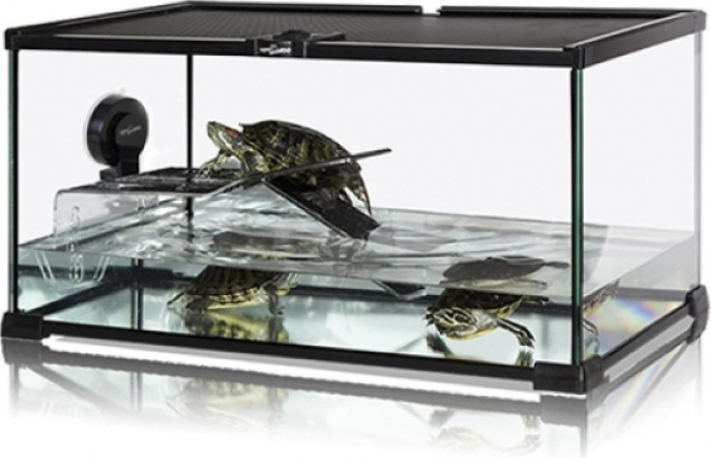 Turtle Starter Kit avec terrasse REPTIZOO