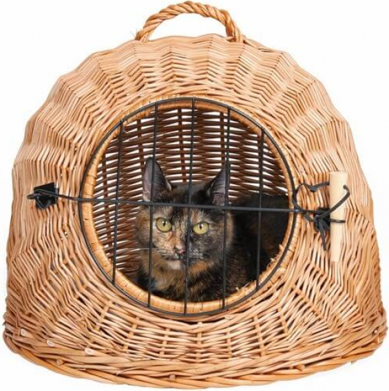 Panier De Transport Chat En Osier Igloo