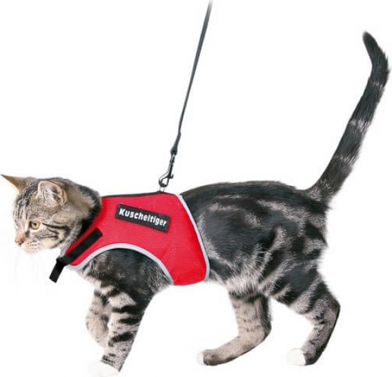 Chat tirant corde ménage gilet de style ceinture de poitrine mignon anti  casser lâche corde de chat chien chaîne de chat spécial
