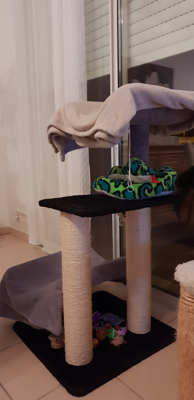 Poteau De Rechange Pour Arbre A Chat