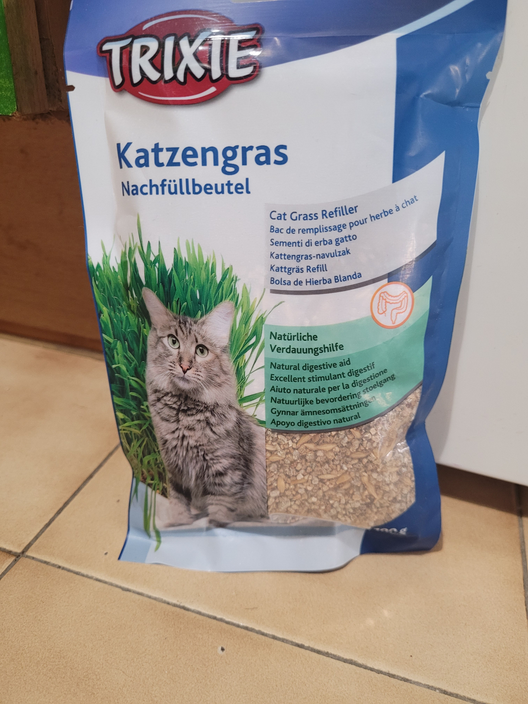 Boîte de plantation d'herbe à chat kit de culture de plantes hydroponique  herbe à chat planteuse sans sol