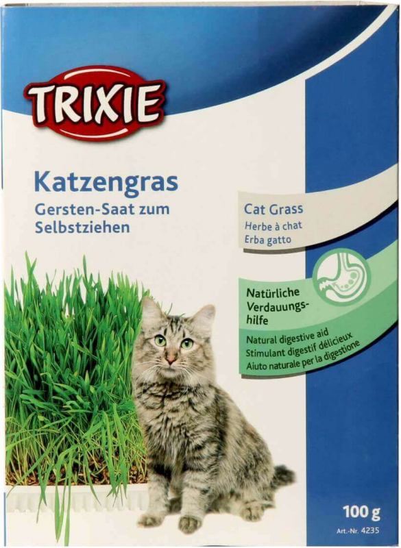 Schale mit Katzenminze