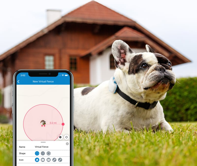 Tractive GPS DOG 4 - GPS Tracker mit Aktivitätsnachverfolgung für Hunde