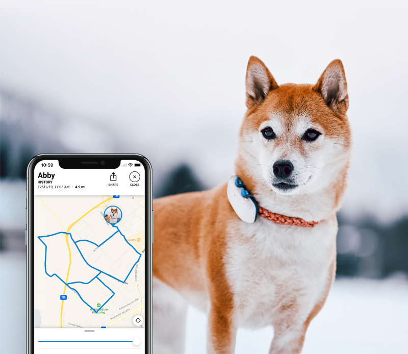 Tractive GPS DOG 4 - Traceur GPS pour chien avec suivi d'activité et housse phosphorescente