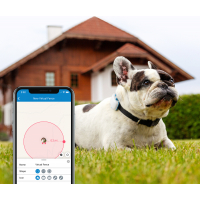 Tractive GPS DOG 4 - Traceur GPS pour chien avec suivi d'activité