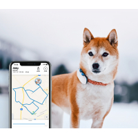 Tractive GPS DOG 4 - Tracciatore GPS per cani con tracking attività