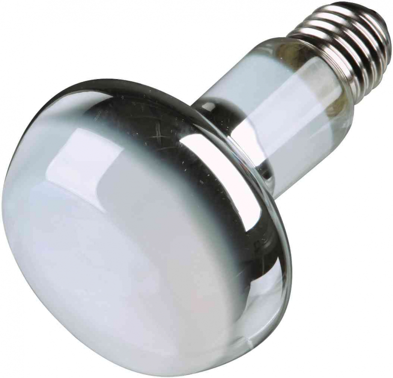 Trixie Reptiland Wärme Spot-Lampe E27