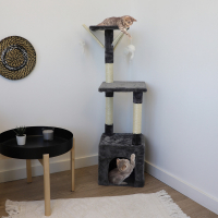 Arbre à chat pour chatons -110 cm - Zolia Starflyer