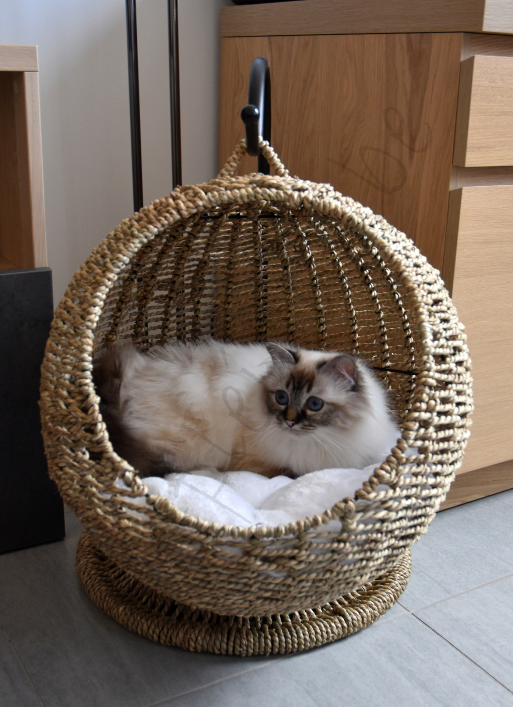 Avis Sur Niche Suspendue Pour Chat En Osier Zolia Haumea