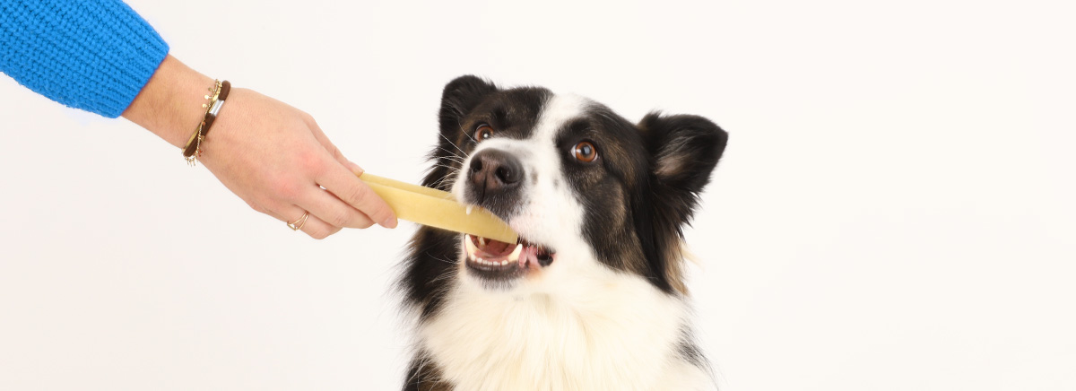 Las golosinas Pur'Milk Cheese Bone DAILYS encantan a los perros