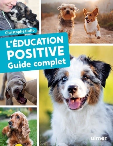 L'éducation positive, guide complet