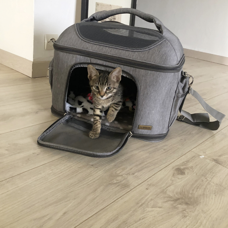 Bolso de transporte gris para gatos Zolia Greys