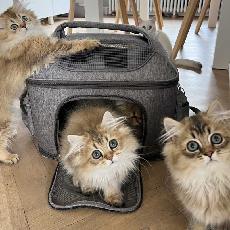 Bolso transporte para gatos Zolia Greys