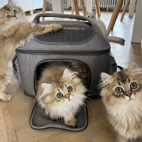 Bolso de viaje para gatos Zolia Greys