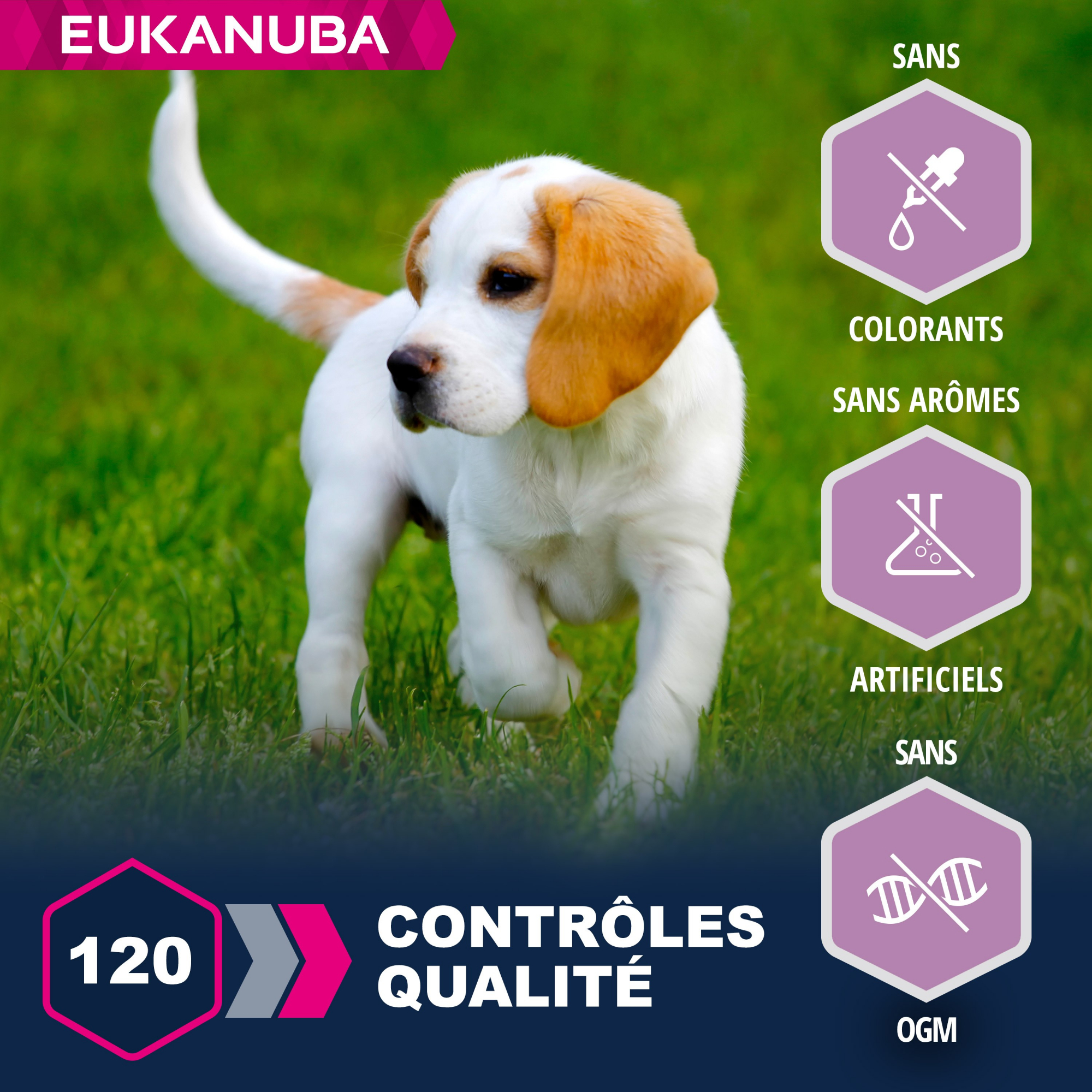 Eukanuba Puppy Small & Medium Breed agneau et riz pour chiot de petites et moyennes races