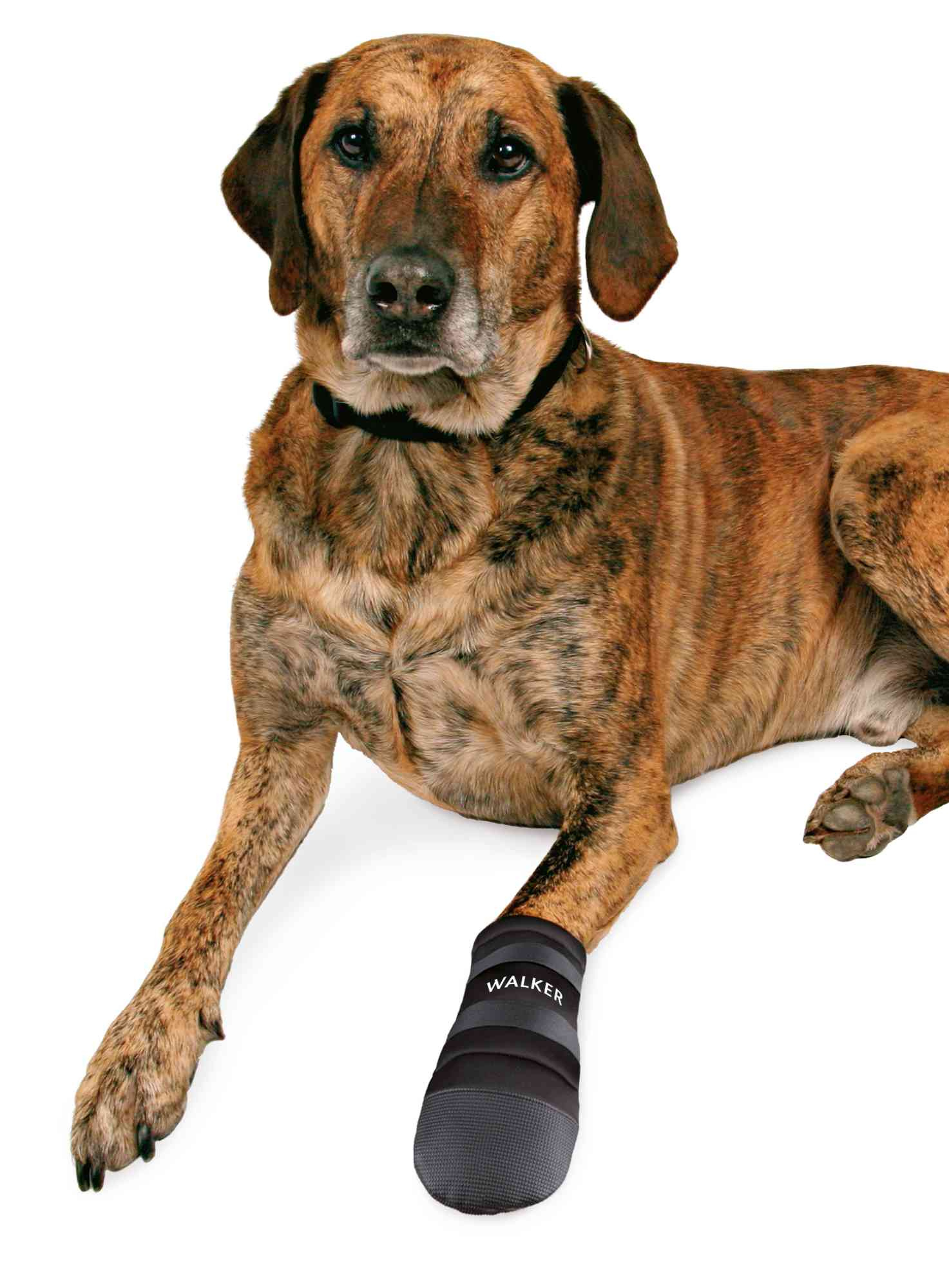 Botas protetoras para cães Walker Care