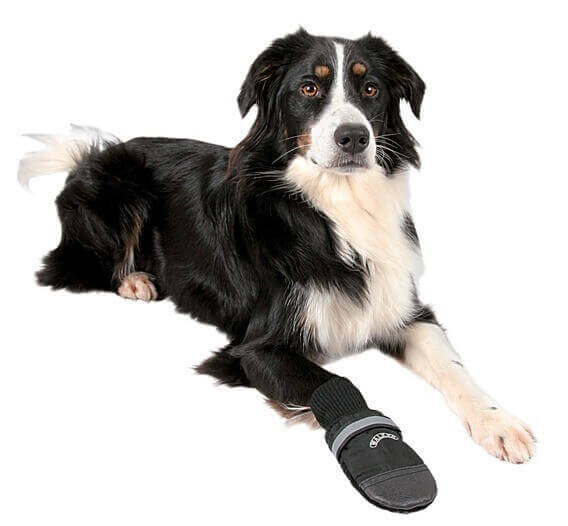 Botas confortáveis de proteção para cão Walker Care Conforto