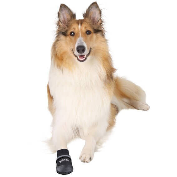 Botas confortáveis de proteção para cão Walker Care Conforto