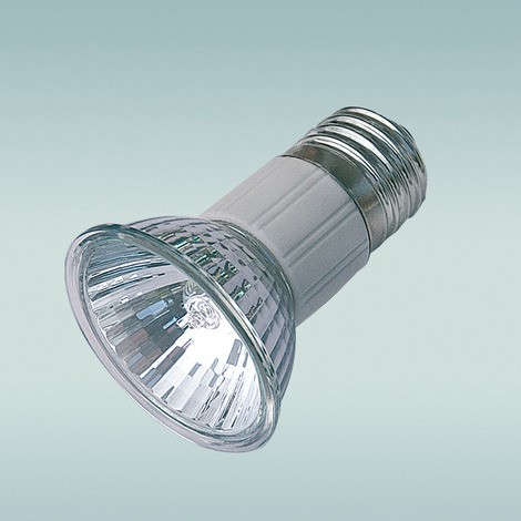 JBL ReptilDay Halogen Ampoule lumière du jour - plusieurs modèles disponibles