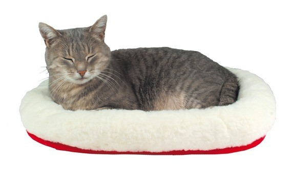 Cuscino per gatto accogliente e reversibile